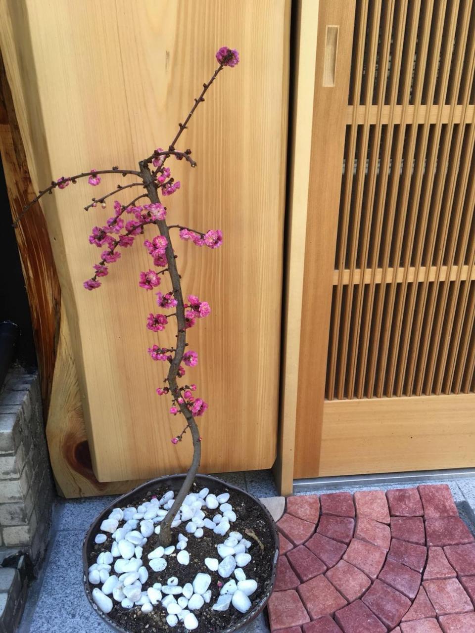 美築八坂 Apartamento Quioto Exterior foto